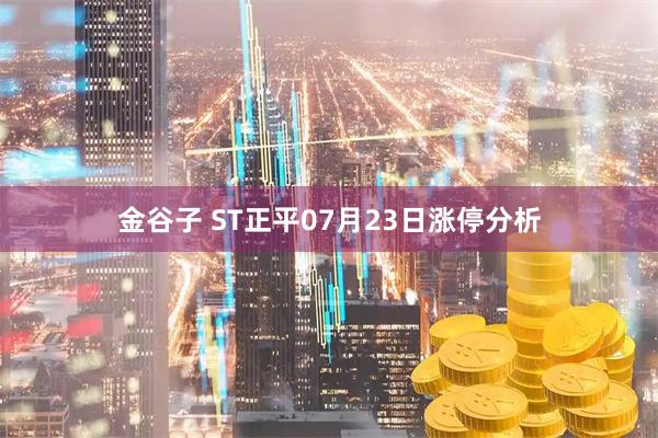 金谷子 ST正平07月23日涨停分析